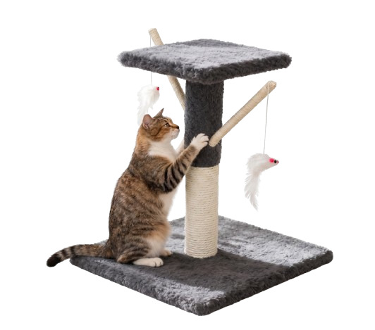 Tommy%20Teraslı%20Kedi%20Tırmalama%20Çok%20Renkli%2034x34x43
