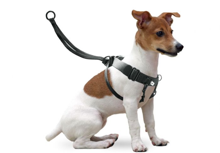 Karlıe%20Easy%20Walker%20Göğüs%20Tasma%2022*32%20Cm%20Small