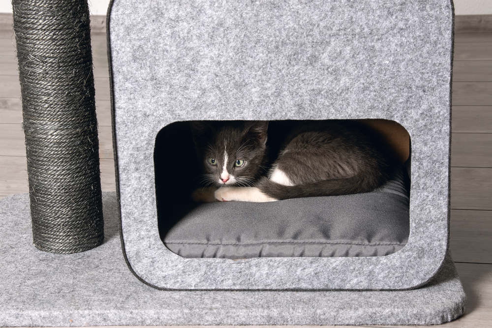 Karlıe%20Kedi%20Tırmalama+ev%20Flavıe%20Gri%2060x40x77cm