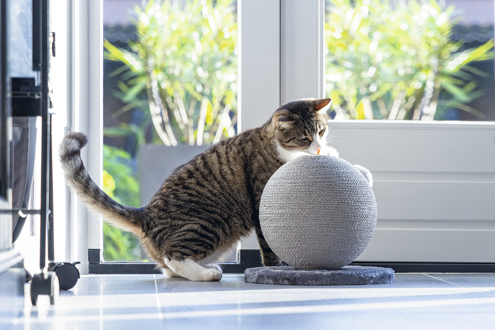 Karlıe%20Kedi%20Tırmalama%20Küresi%20Bolly%20Gri%2030.5cm