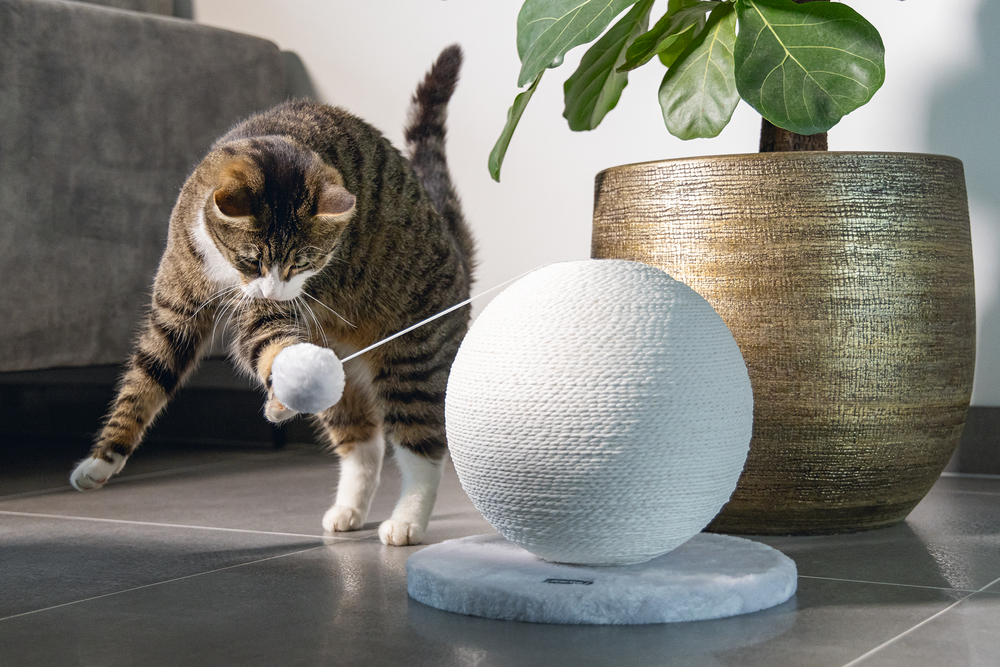 Karlıe%20Kedi%20Tırmalama%20Küresi%20Bolly%20Beyaz%2030.5cm