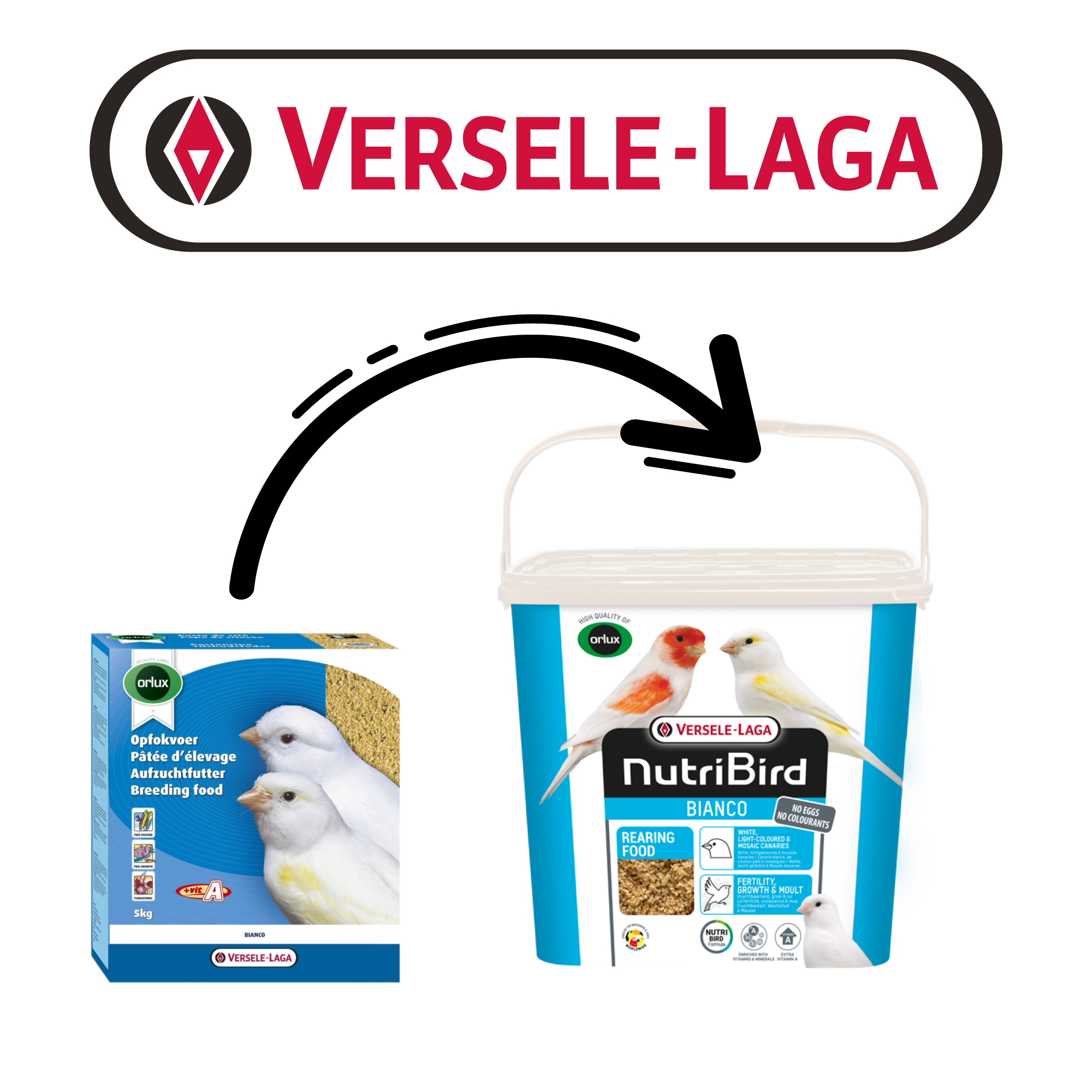 Versele%20Laga%20Nb%20Rearıng%20Food%20Bıanco%204kg