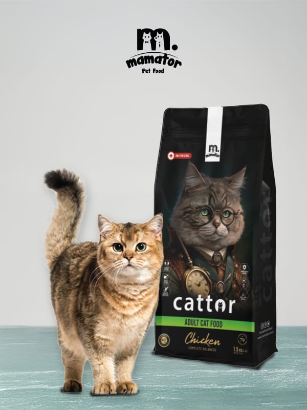 Cattor%20Tavuklu%20Yetişkin%20Kedi%20Maması%201,5%20Kg
