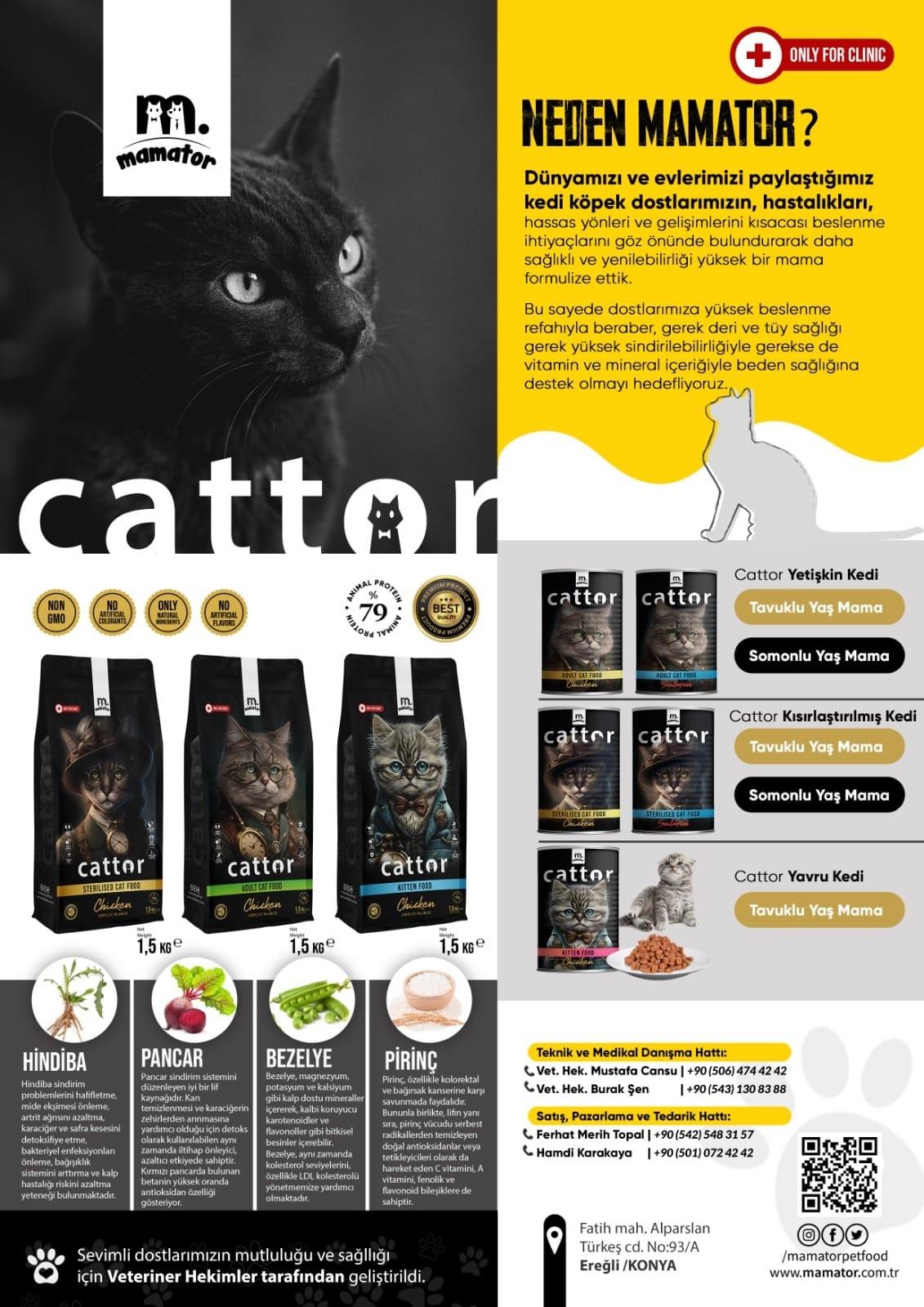 InspectorYavru%20(Kitten)%20Kedi%20Maması%2015%20Kg