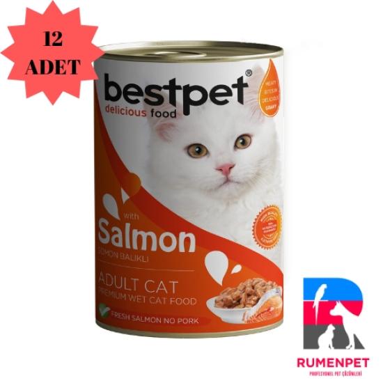 Bestpet Somonlu Kedi Konservesi 400 GR