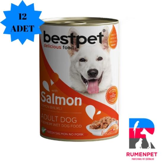 Bestpet Somonlu Yetişkin Köpek Konservesi 400 GR 12 ADET