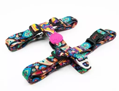 TAİLPETZ PAISLEY H-HARNESS - L
